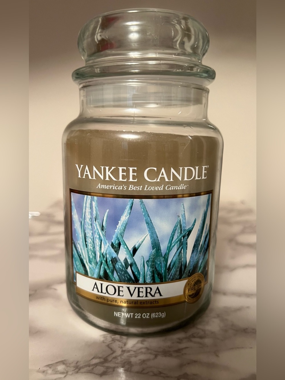Yankee Candle Aloe Vera 22 oz Large Jar Single Wick ~97%